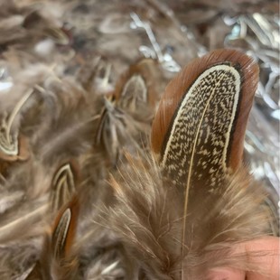 �F؛ DIY�Ʒ��� Ұ�uëҰ�ݹ�ɽ�u��}�����ɫ��ɫȾɫ��ë