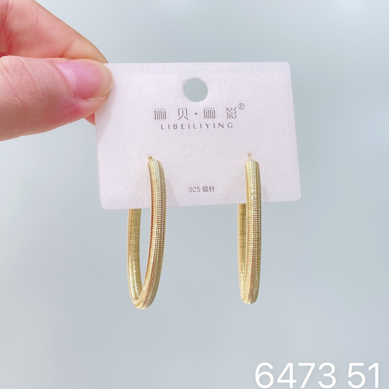 丽贝丽影丽银欧美时尚高级感素圈耳环2025新款爆款个性小众女耳圈|undefined