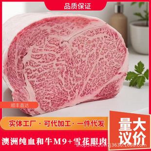 ���޼�Ѫ��ţM9+ѩ������ţ���ձ����A5��ţM12��S���]����ԭ��