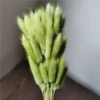 Grass and green rabbit tails of about 60 pieces of about 60