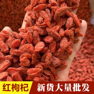 �Ͼ���������l ��轲�500����؛�t������l��؛���l��ș�ļt���