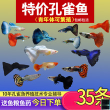 ��ȸ�~С�~�Ꭷ�~ȫ�N�������B�^�p�~С�͵�ˮ���R�~����~����