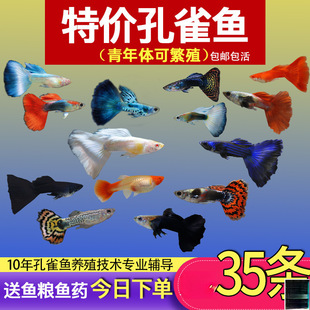 ��ȸ�~С�~�Ꭷ�~ȫ�N�������B�^�p�~С�͵�ˮ���R�~����~����