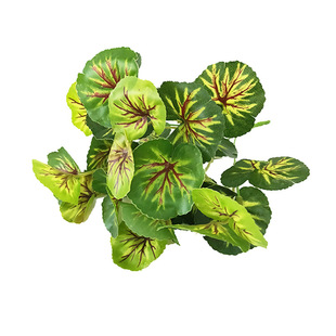 ����Gֲ���y�����~���l �҃Ⱦ��^�Gֲ�b�����~�S�ҹ���