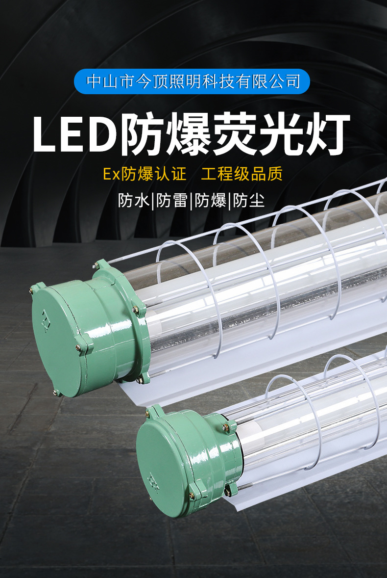 绿头款防爆灯_01.jpg