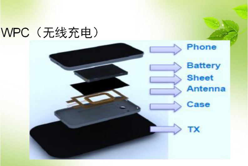 B10(1).png