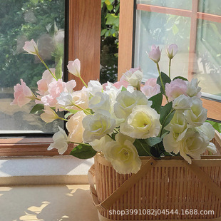 �S��ֱ�l������۹�4�^�۹����滨�ٻ��[���Ҿ��b��ܼҾ��b��