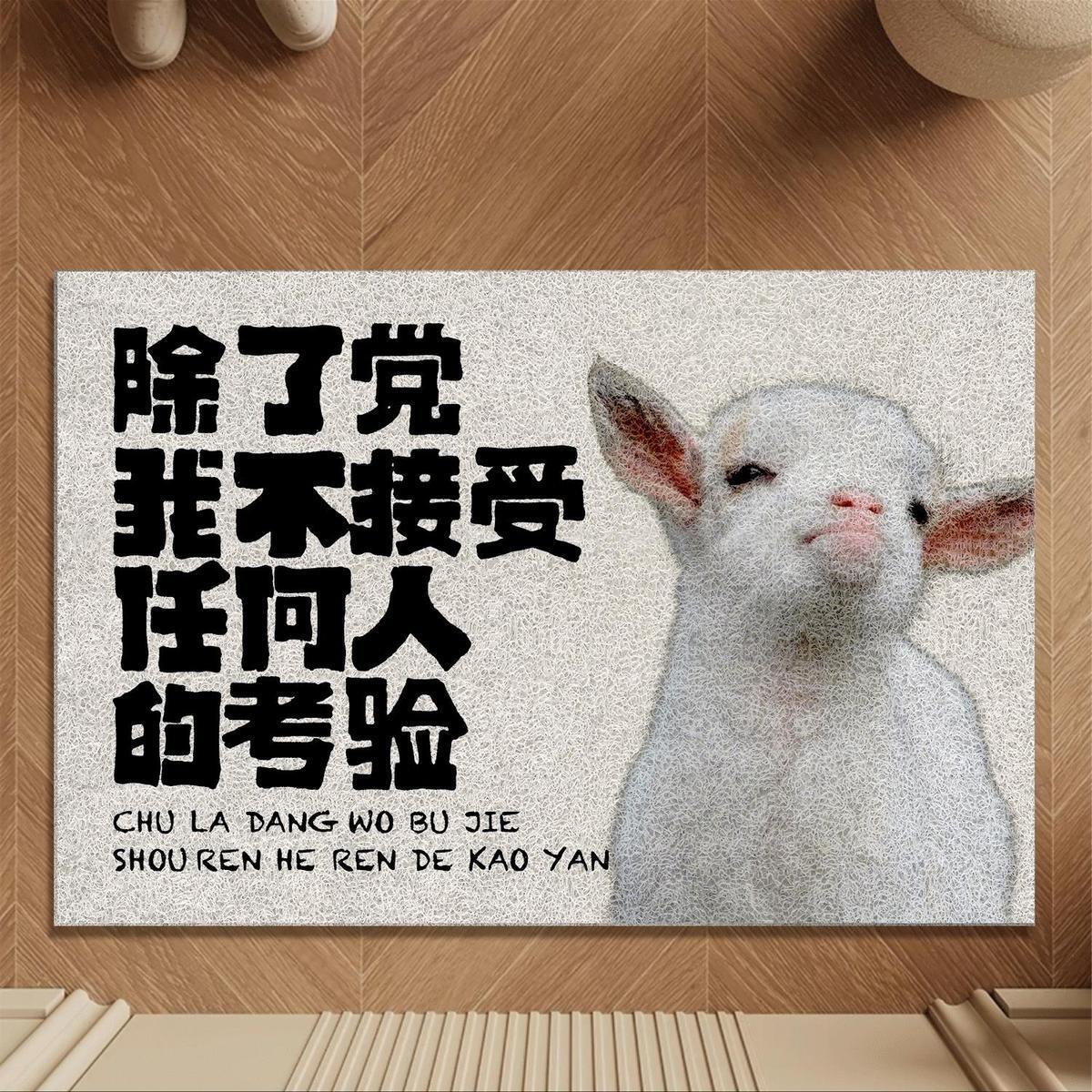 테스트 실크 서클 거부
