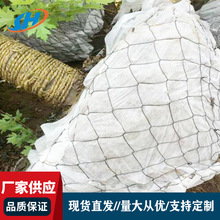 包树铁丝网树木移栽包土球网树根网树根保护网兜包树头定根铁丝网