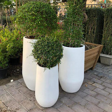 SֱɫLͲV豱WƵ̈G̷Nֲ