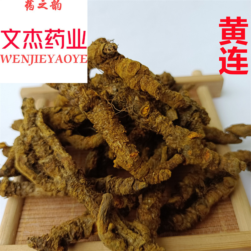 黄连【文杰药业】现货批发实物拍摄【单支黄莲】新货四川黄连