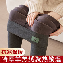 棉羊羔绒打底裤女2025冬季新款高腰保暖加绒加厚外内穿大码秋裤
