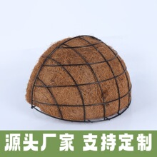 �S�����l 12��ڒ�W�@�ֹ������̨��@��A��Ҭ���w�S��@