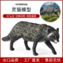 非洲认知仿真实心玩具