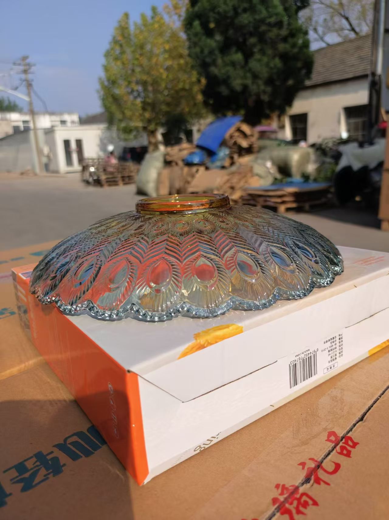 微信图片_20251126121918_457_6