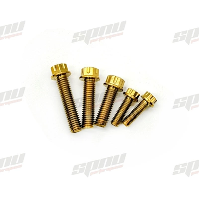 Electric vehicle fender – rear fender bracket modification accessory of - stainless-steel-gold-screws-optional