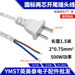 National standard power cord with Plug 2-core 0.5/0.75 square meters two-core power cable two plug wire two holes