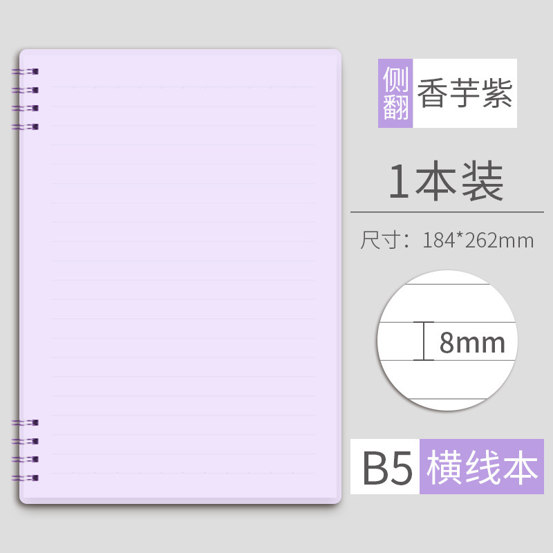 B5 타로 퍼플