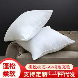 抱枕芯 PP棉磨毛布靠垫芯 厂家供应批发抱枕枕芯 45枕芯