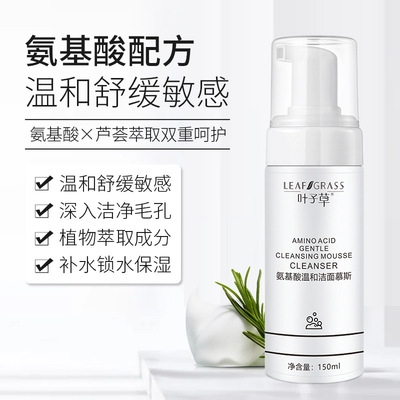 葉子草氨基酸柔和潔面慕斯泡沫深層清潔補水保濕男女通用oem加工