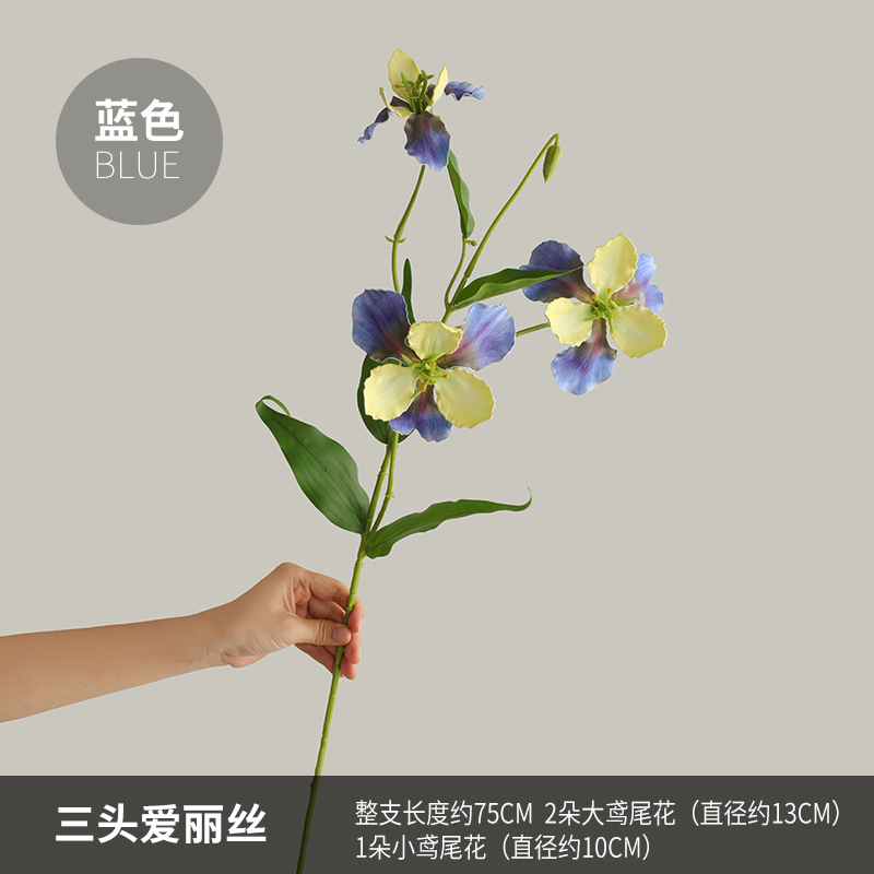 75CM 세 머리 앨리스-블루