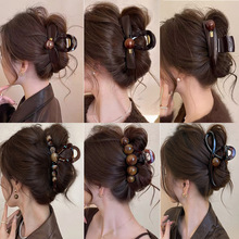 ɫ̖ץAŮ߼кXױPl~AӰllA|l^