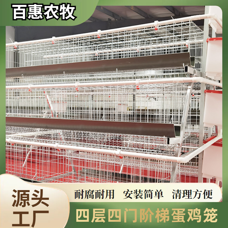 Equipo de jaula para pollos de cuatro niveles y cuatro puertas apilados para granjas. Fábrica de equipos de jaula para pollos tipo escalera galvanizada de múltiples niveles.