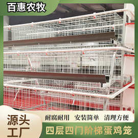 养殖场用层叠式四层四门蛋鸡笼设备镀锌多层阶梯式笼养鸡设备厂