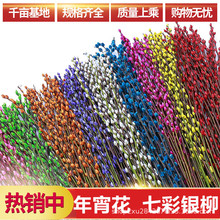 1.2����ؔ�y���������ܸɻ��滨�r֦�ͺ�ˮ��ֲ��tɫ��Ͱ�͏d��