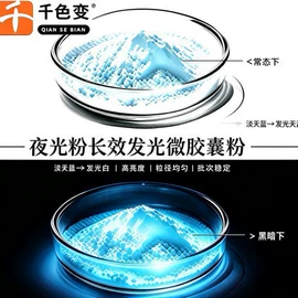 其他有机颜料;特种涂料;荧光颜料