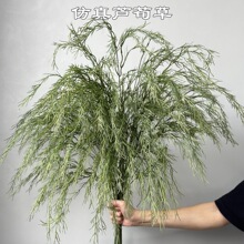 �¿����Gֲ�Gɫ�J����ǧ�Ӳ����~���ɭϵ��Yܛ�b�bٻ����l