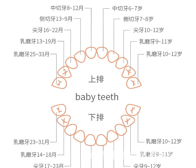 详情页_09.jpg