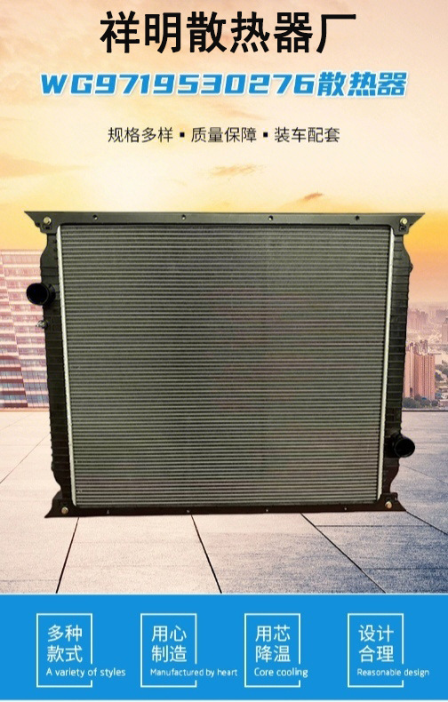 Truck Radiator Sinotruk Shaanqi Scania Volvo Man Daf Iveco Intercooler
