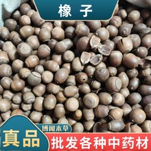新货橡子果 工艺品原料拍摄道具橡树子老橡果橡子粉原料冷背批发