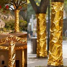 ��̨�𲼽𼈰����b�����ɽ�ɫ��������ľ�p�@�𲭼��Ƶ�ץ��