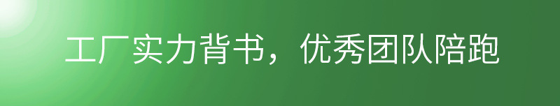工厂实力背书,优秀团队陪跑