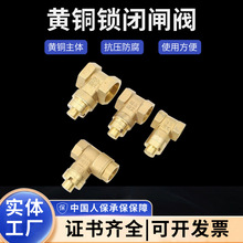 ��h���l�S�~�ߜ�Ӣ���i�]�l�y���I���ܱ�ǰ�����i�]�l�y�_�P�y�T