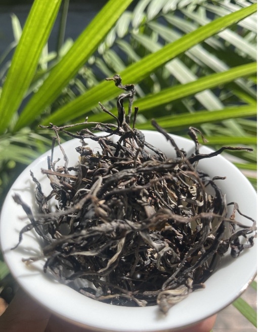 微信截图_20241008180828