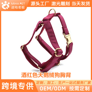 �¿����l�羳���N���־Ƽt�q���ر�����������Ƽt�q��۱��ı���