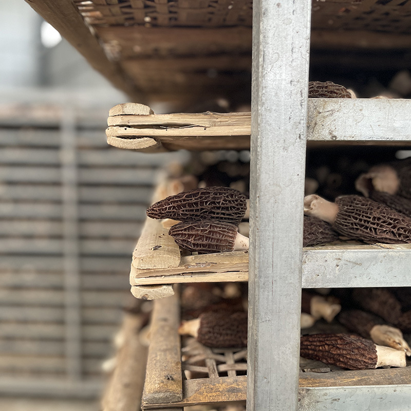 微信图片_202303281653223