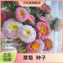 ���z������ջ��N���������x�҃������Ի��N���ļ�����ɲ��Nֲ��