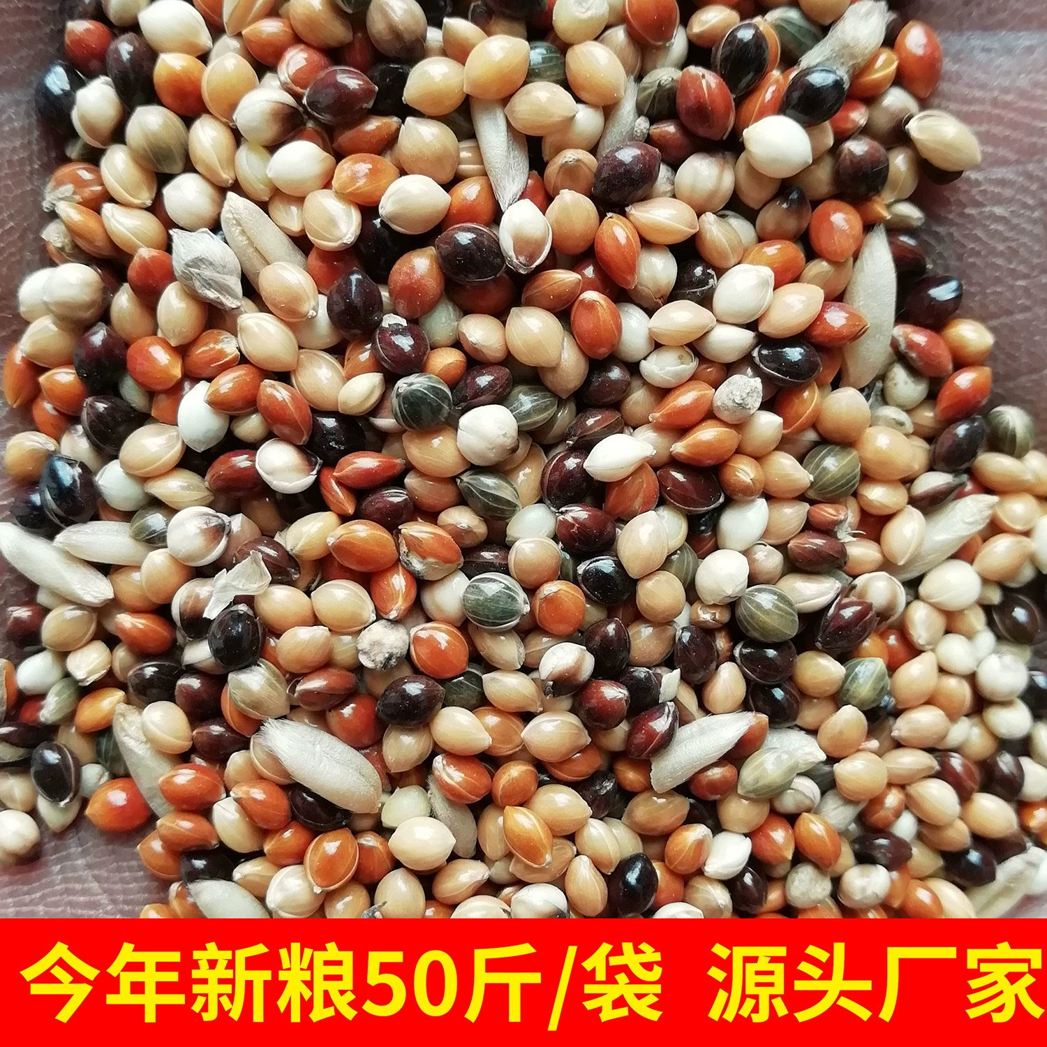 Пятицветное просо Корм для птиц Смешанное питание 50 кг/пакет Жемчужный корм для птиц корм для попугаев Птичье зерно Просо