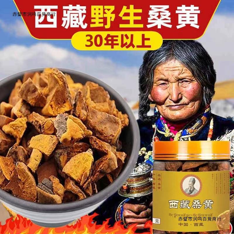 西藏野生桑黄罐装西藏桑树桑黄金边桑黄泡水食药用