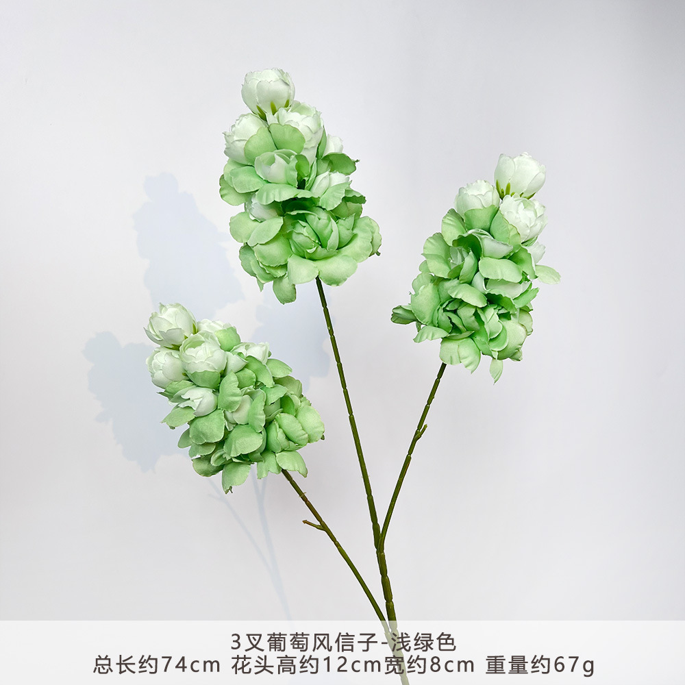 CC-3叉葡萄风信子-浅绿