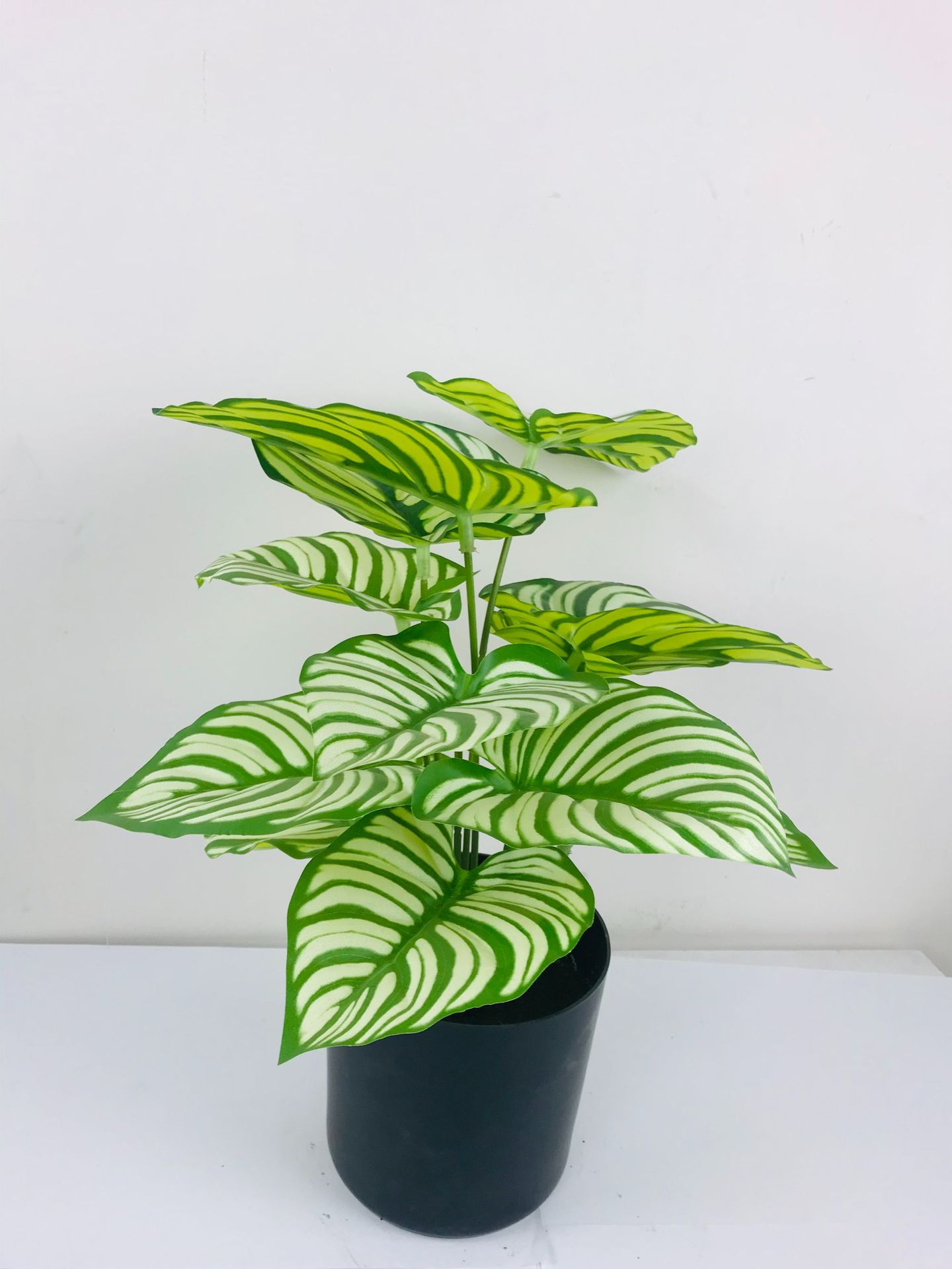 Preferencia personalizada imitación verde imitación flor tortuga árbol roble árbol de hierro viajero de plátano hoja de arpín cola de bambú anchoa