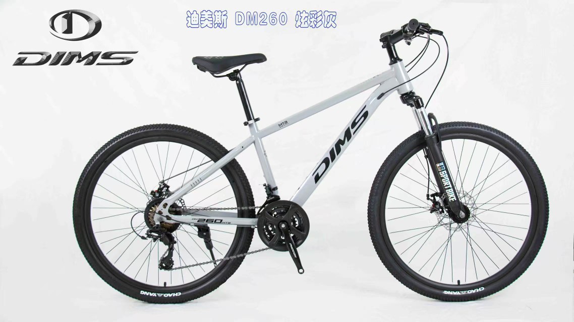 Dimas High-End Mountain Bike Adult Mountain Bike