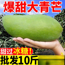 【批发】厂家大青芒果生吃甜脆甜新鲜水果整箱批发价非海南金煌芒