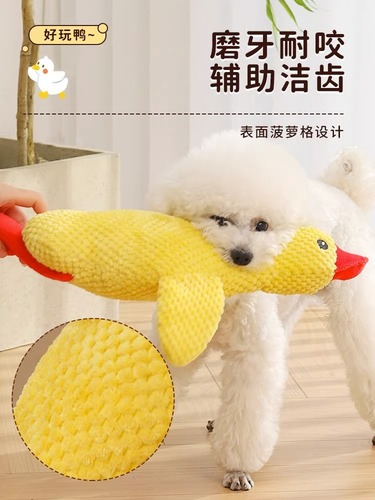 Plush dog toy to relieve boredom, pet puppy vocalization, teeth grinding, bite resistance, Corgi Teddy, Bichon Frize puppy supplies