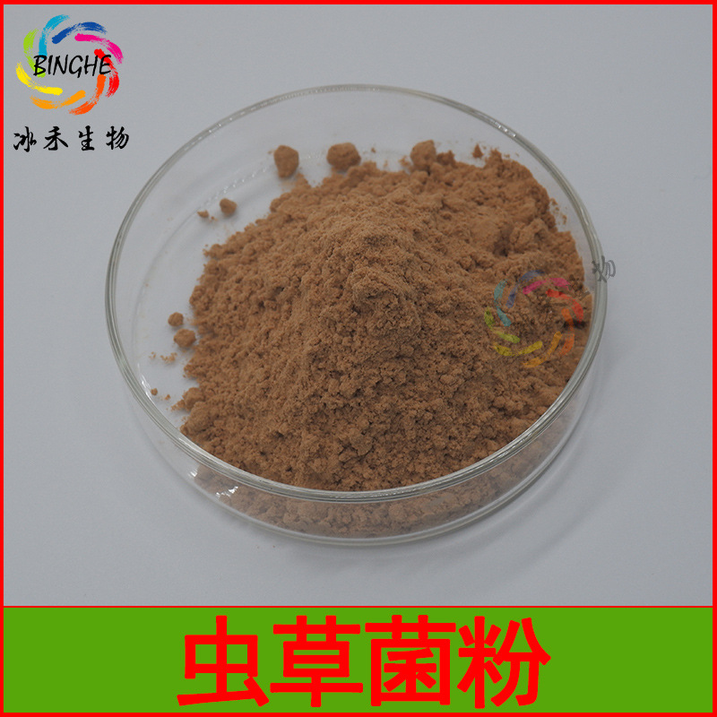 虫草菌粉99%虫草提取物虫草菌丝粉蝙蝠蛾拟青霉菌粉冰禾现货包邮