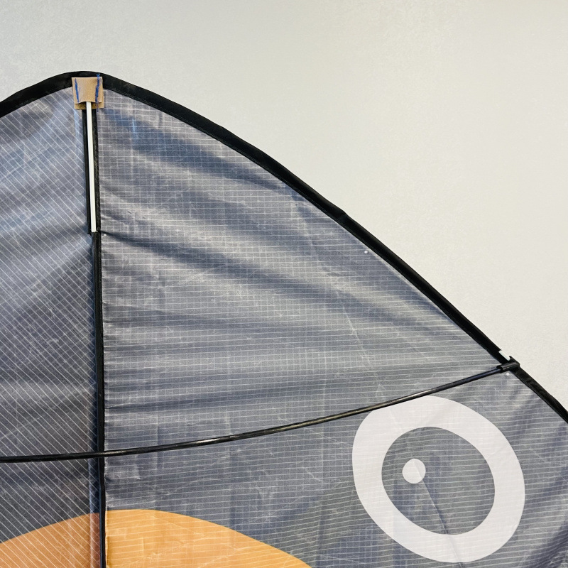 DH三角鲨鱼 (7).jpg